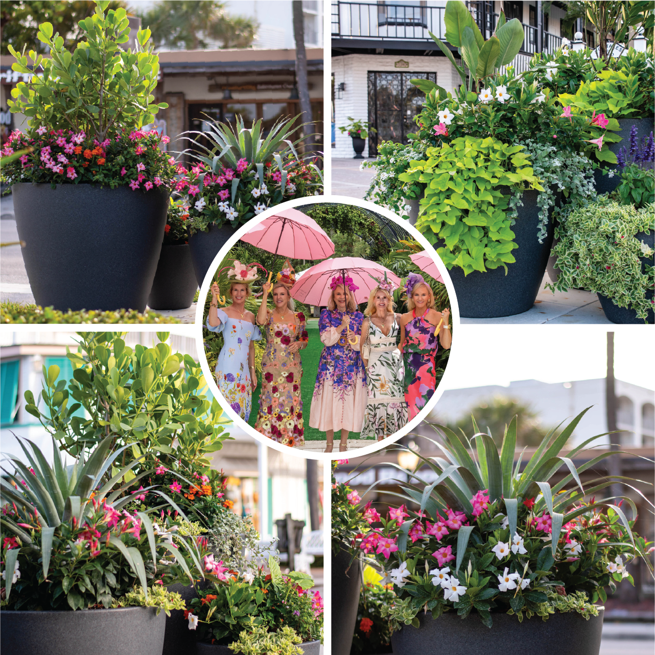 Collage of the Vero Beach Women's Beautification Committee founders and potted plant projects